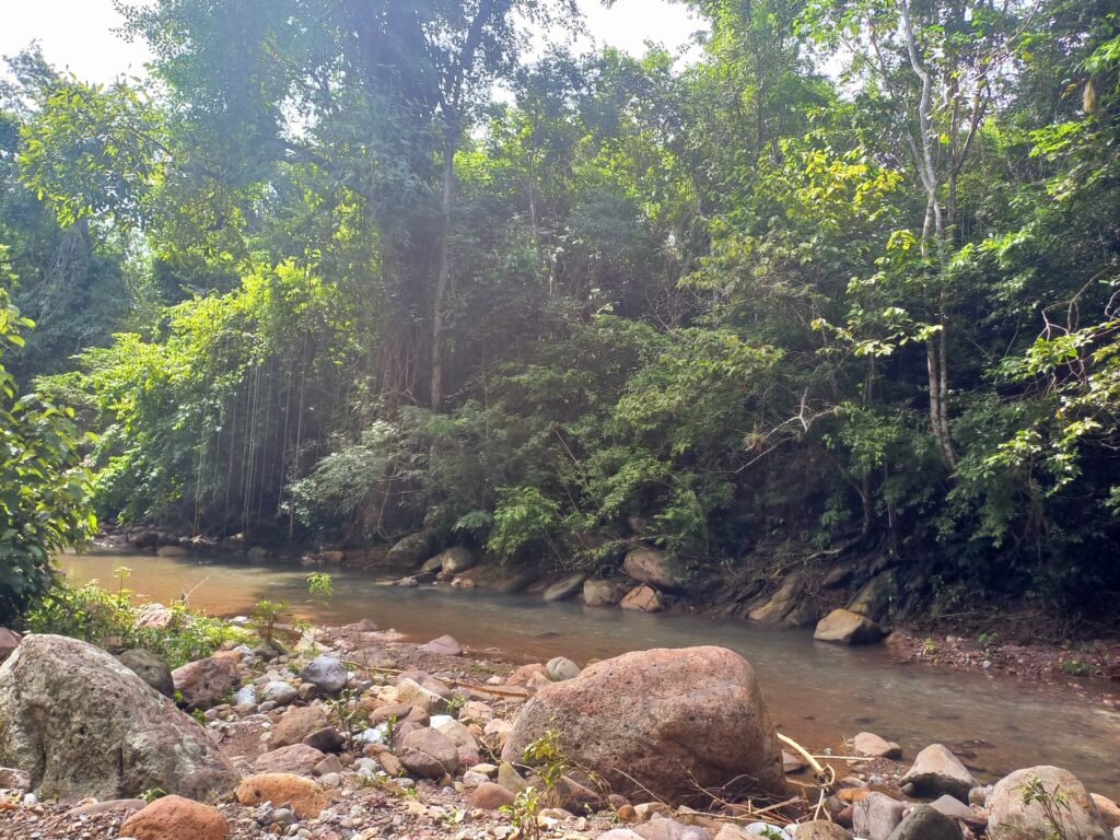 Aventura en la Selva Húmeda de Mara: El Paraíso Escondido