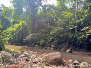 Aventura en la Selva Húmeda de Mara: El Paraíso Escondido